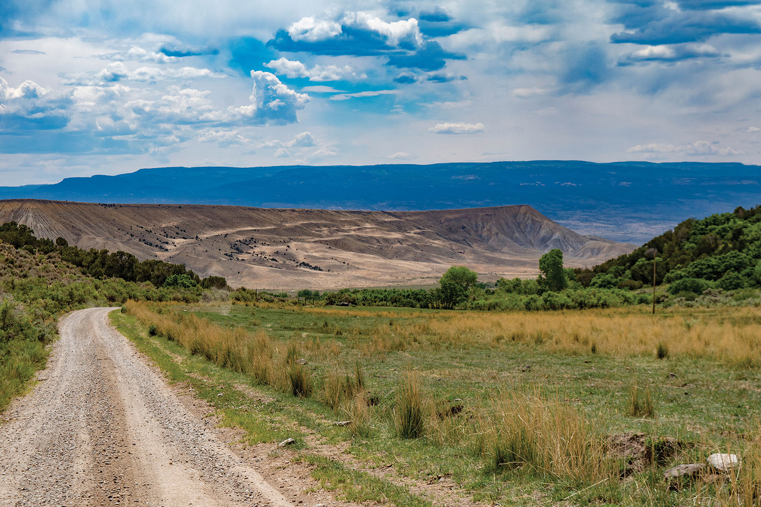 Life at the Van Winkle ranch